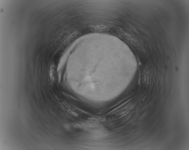 X0000085741346200704091459