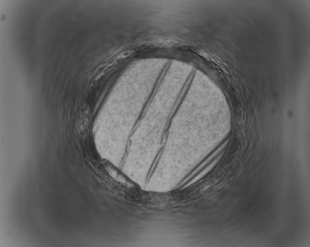 X0000085741349200704091459