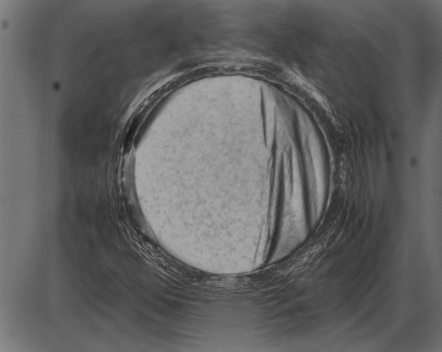 X0000085741352200704091459