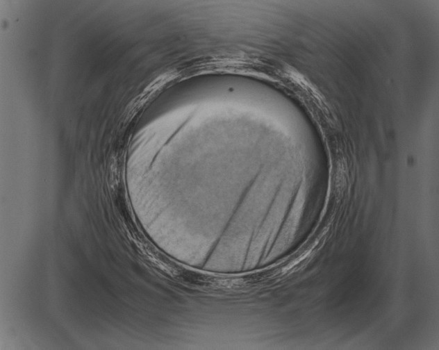 X0000085741353200704091459