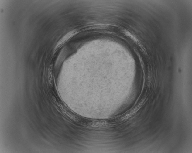 X0000085741354200704091459