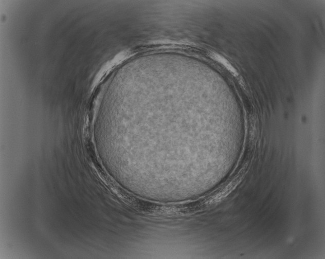 X0000085741357200704091459