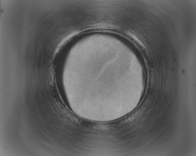 X0000085741358200704091459