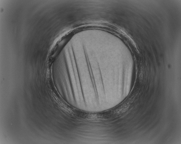 X0000085741360200704091459