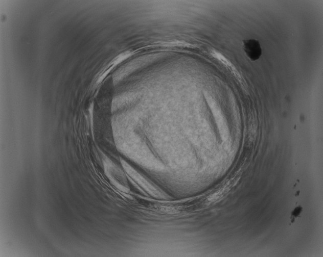 X0000085741361200704091459