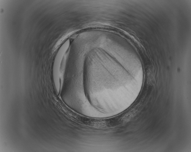 X0000085741363200704091459