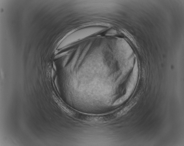 X0000085741369200704091459