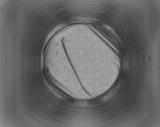 X0000085741370200704091459