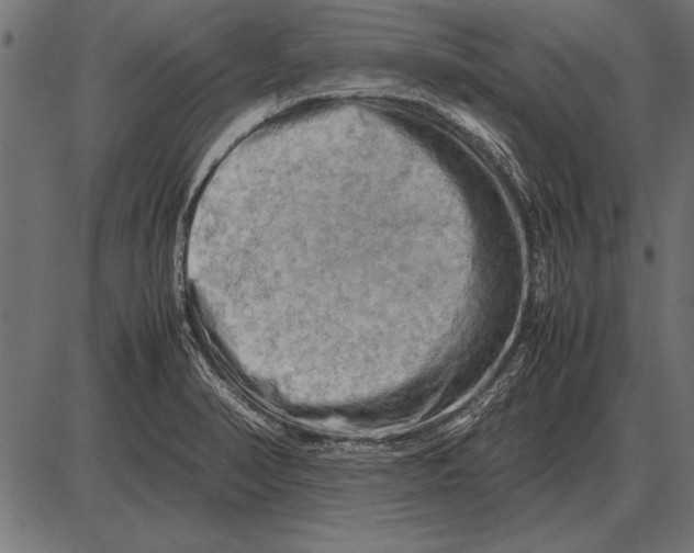 X0000085741374200704091459
