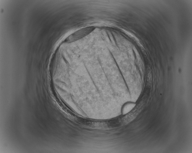 X0000085741375200704091459