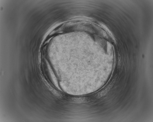 X0000085741376200704091459