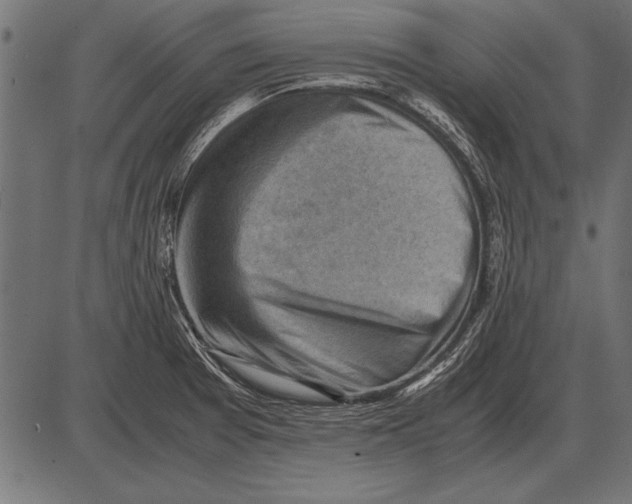 X0000085741377200704091459