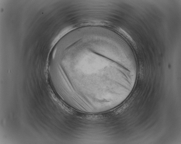 X0000085741378200704091459