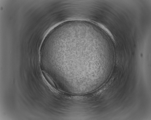 X0000085741380200704091459