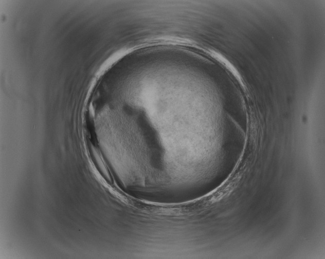 X0000085741381200704091459