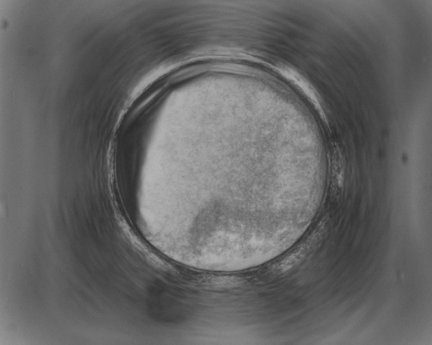 X0000085741382200704091459