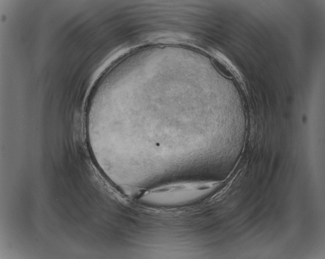X0000085741384200704091459