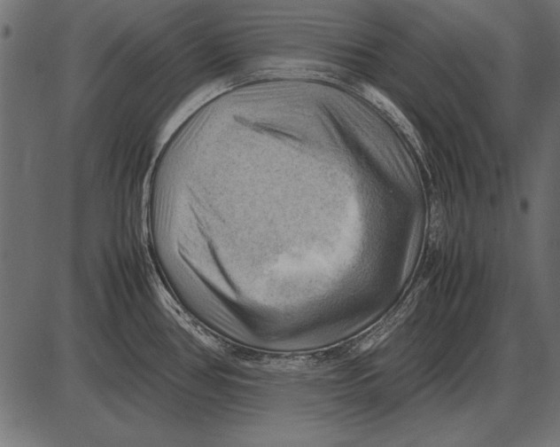 X0000085741386200704091458