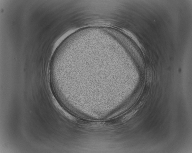 X0000085741387200704091458