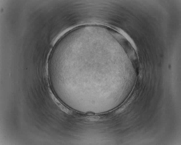 X0000085741388200704091458