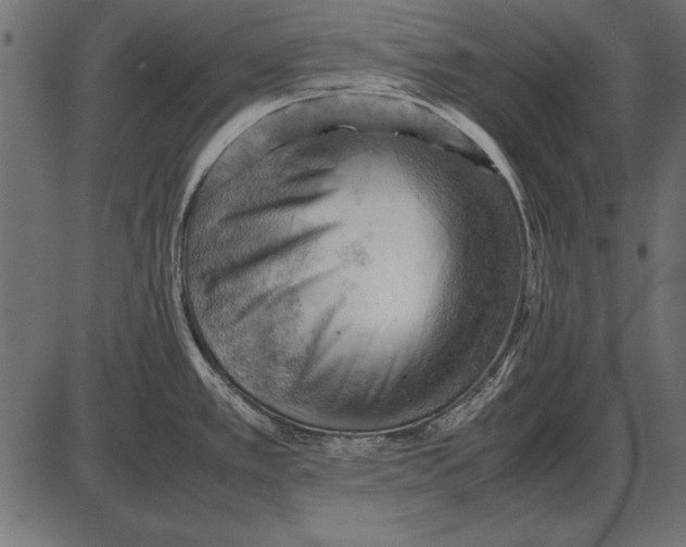 X0000085741389200704091458