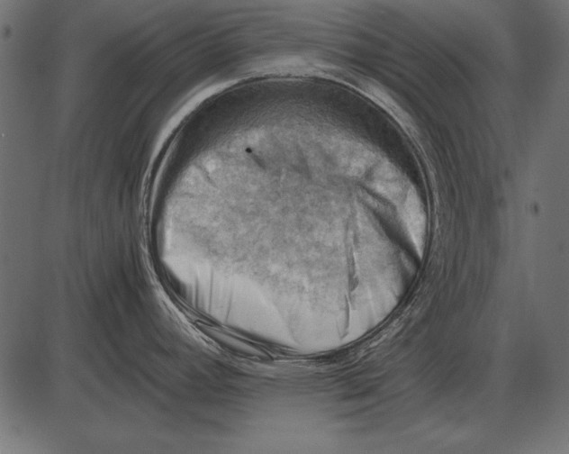 X0000085741392200704091458