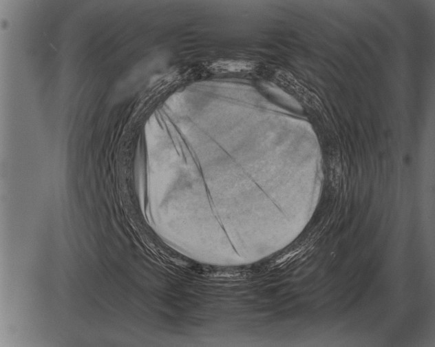 X0000085741393200704091458
