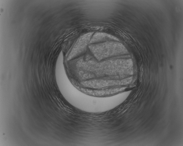X0000085741394200704091458