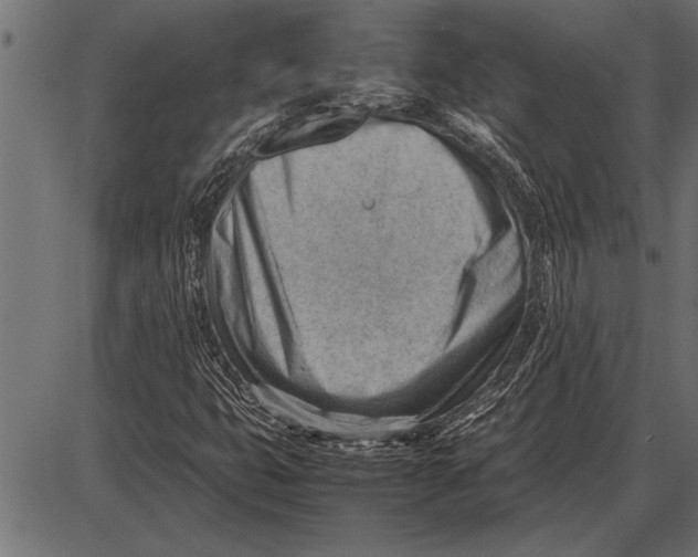 X0000085741399200704091458