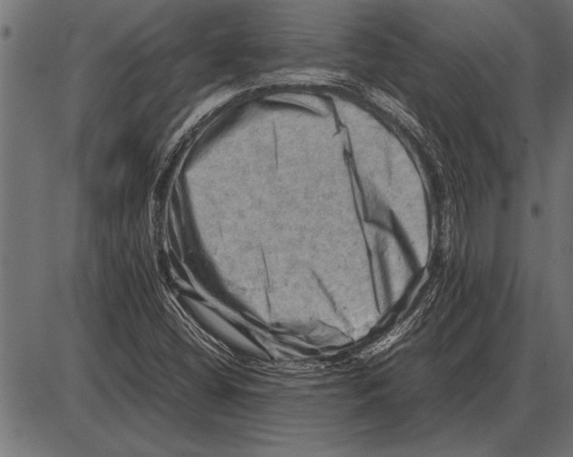 X0000085741404200704091458