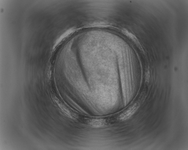 X0000085741406200704091458