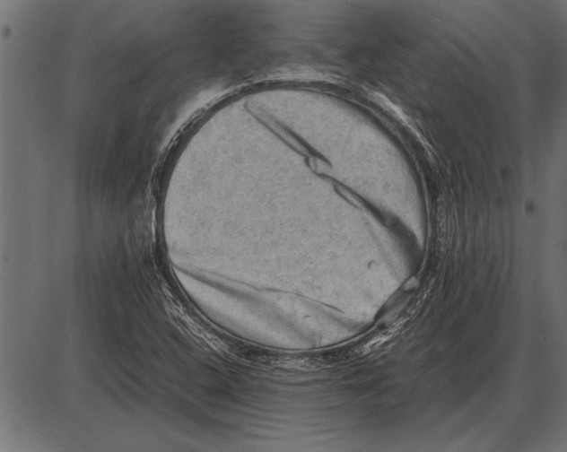 X0000085741408200704091458