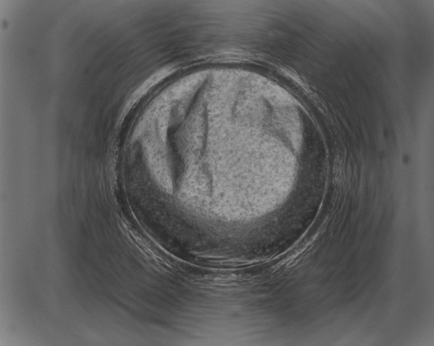 X0000085741410200704091458