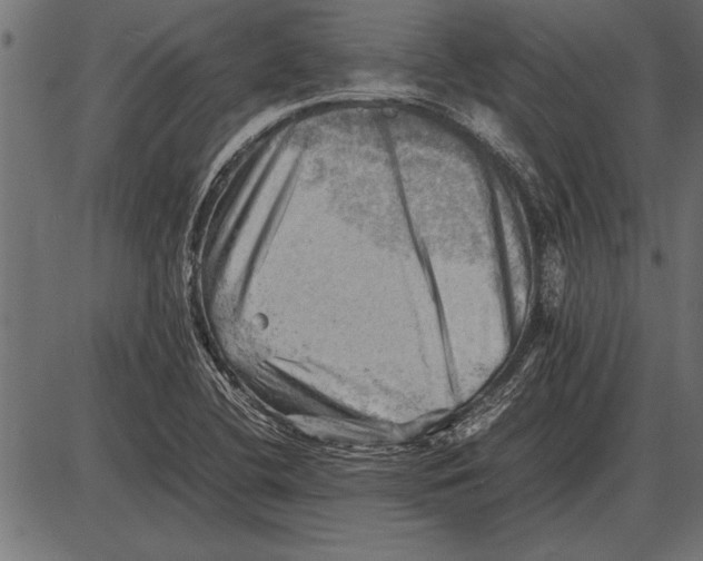 X0000085741412200704091458