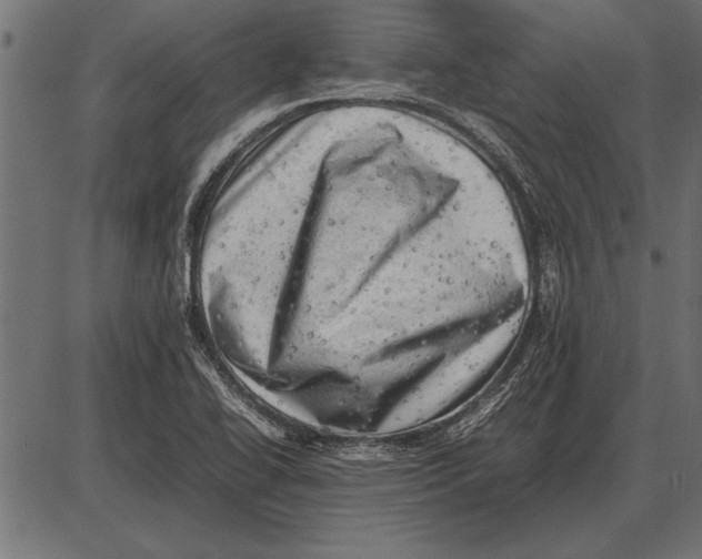 X0000085741414200704091458