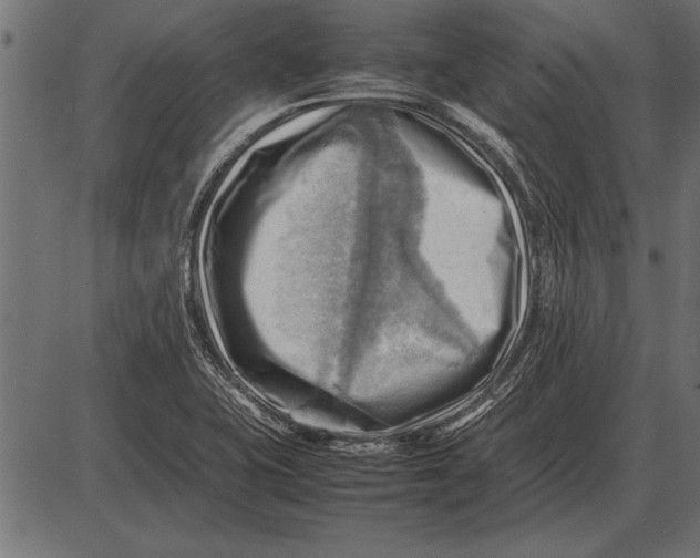 X0000085741415200704091458