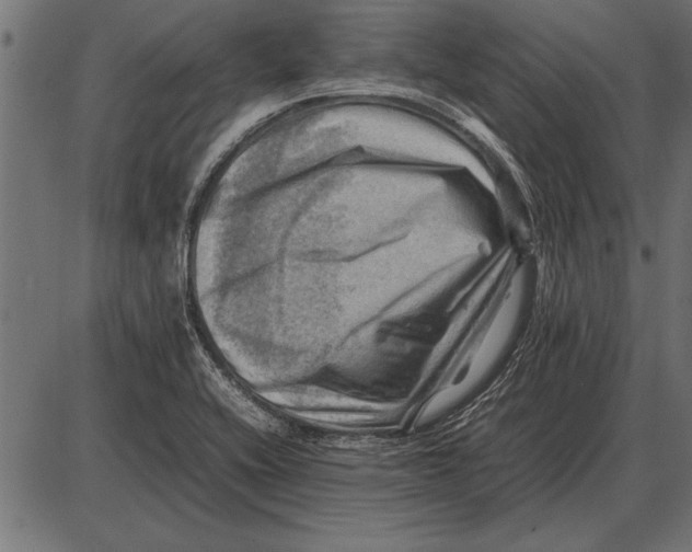 X0000085741416200704091458