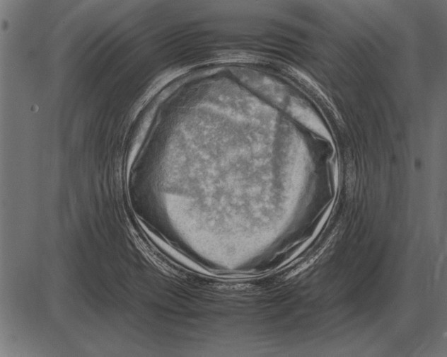 X0000085741417200704091458