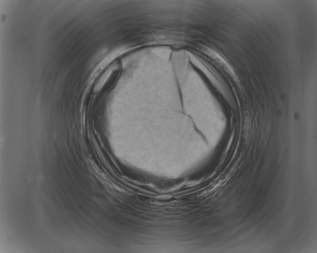 X0000085741419200704091458