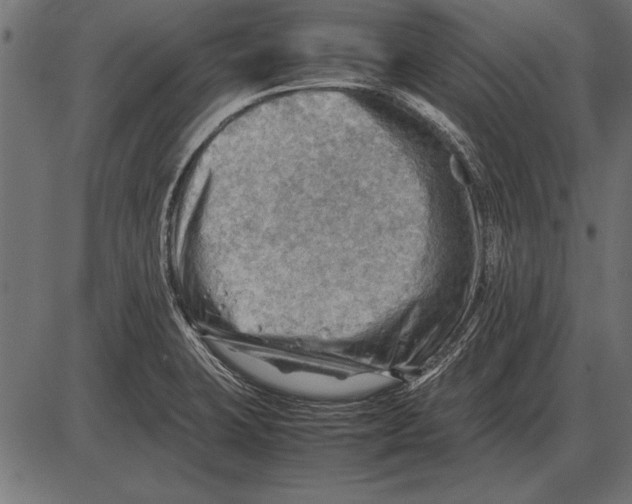 X0000085741423200704091458