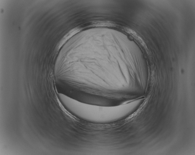 X0000085741425200704091458