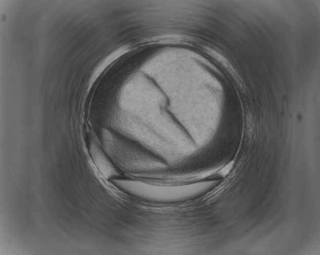 X0000085741426200704091458