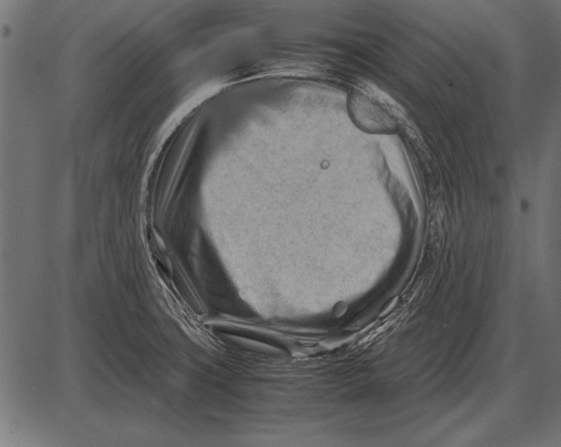 X0000085741427200704091458