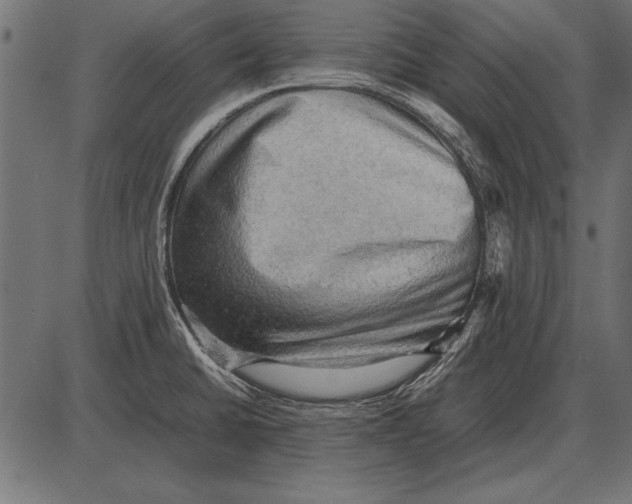 X0000085741430200704091458