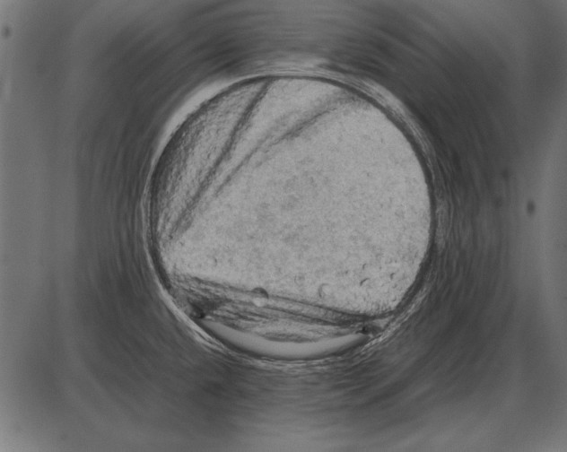 X0000085741432200704091458