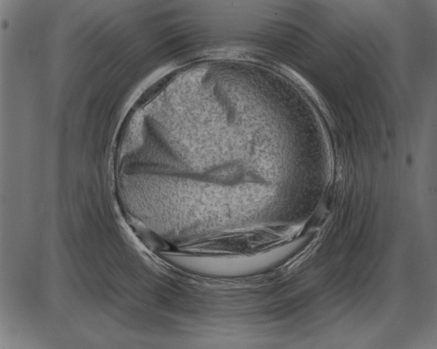 X0000085741434200704091458