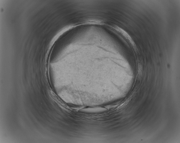 X0000085741435200704091458