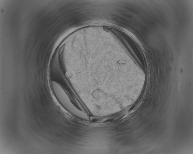 X0000085741440200704091458