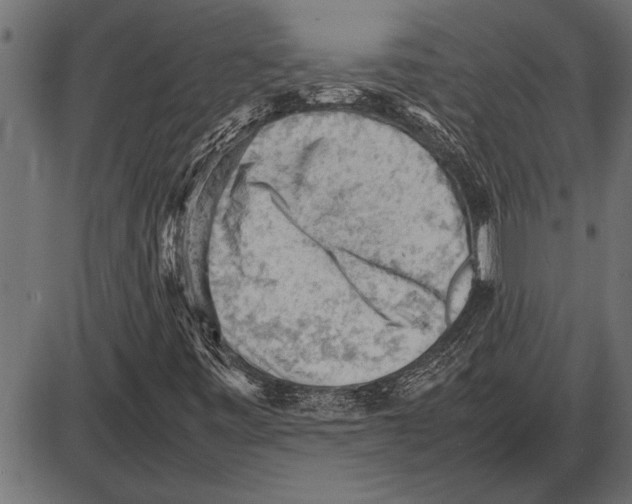 X0000085741443200704091458