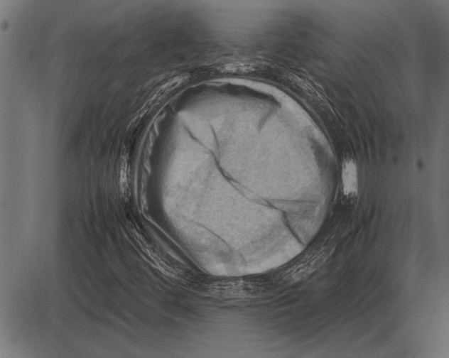 X0000085741444200704091458